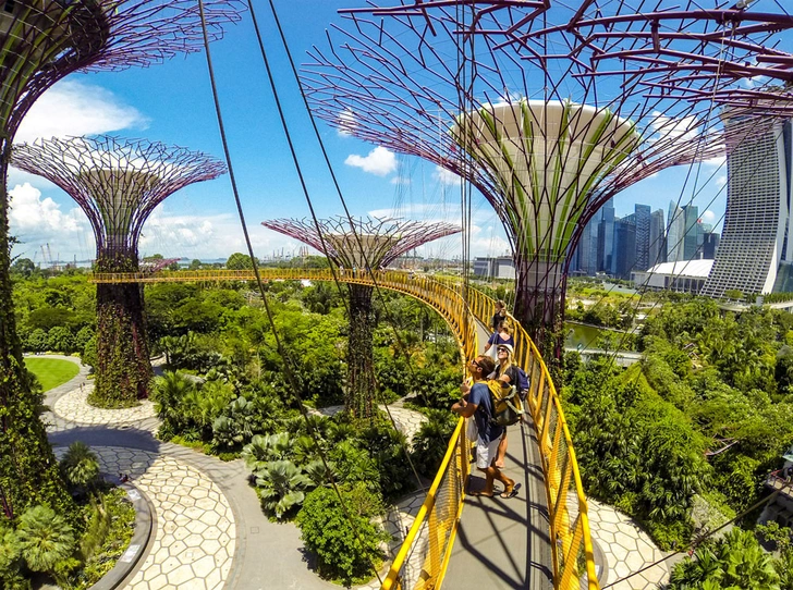 Gardens by the Bay, Сингапур